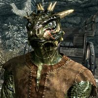 The elder scrolls Argonians name generator